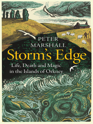cover image of Storm's Edge